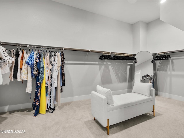 724 Marewood Trl, Reno, NV 89511 - photo 57