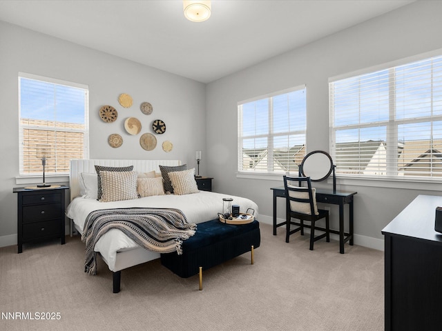724 Marewood Trl, Reno, NV 89511 - photo 59