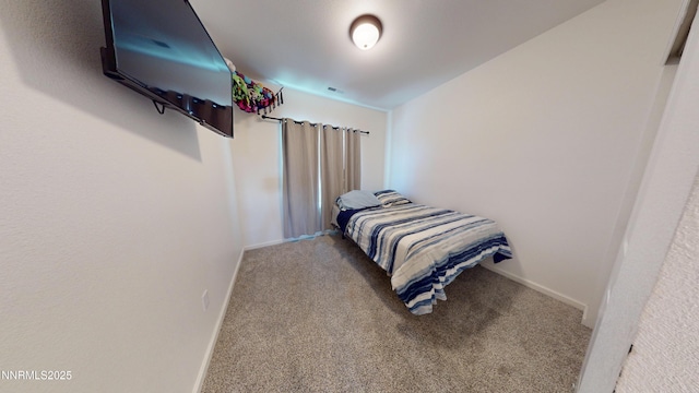 1317 Serenity Cir, Fernley, NV 89408 - photo 13