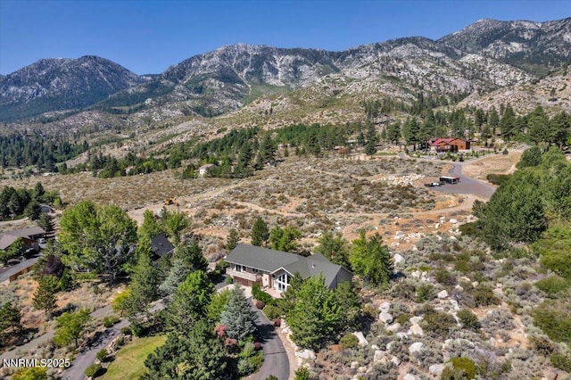 1272 Kingsbury Grade Rd, Gardnerville, NV 89460 - photo 57