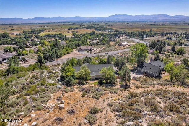 1272 Kingsbury Grade Rd, Gardnerville, NV 89460 - photo 59