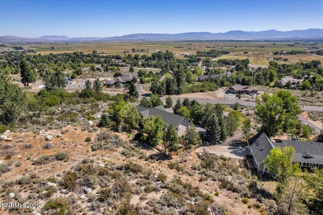 1272 Kingsbury Grade Rd, Gardnerville, NV 89460 - photo 60