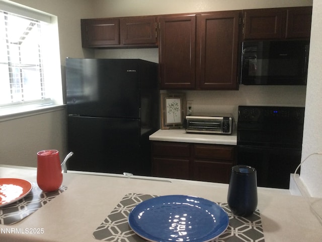 3167 Bristle Branch Dr, Sparks, NV 89434 - photo 5