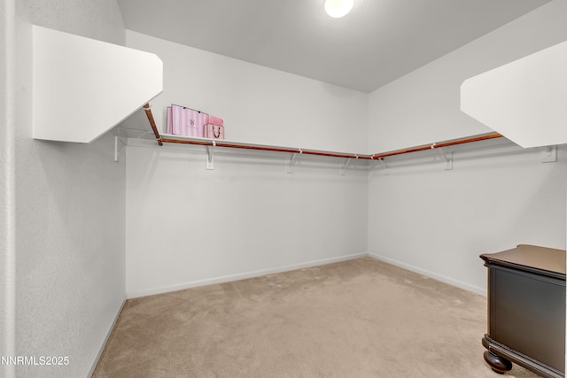 2730 Foxhunter Ln, Reno, NV 89521 - photo 34