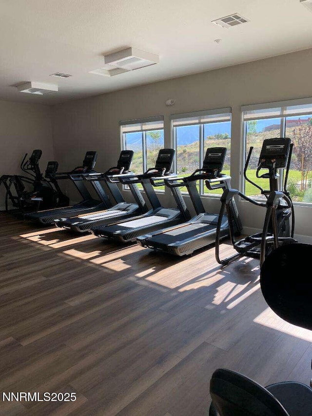 3604 Pulsar Ln Unit 3, Carson City, NV 89705 - photo 22