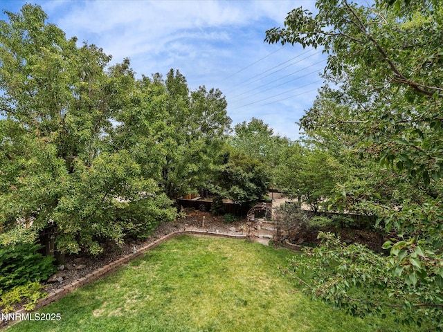 1353 Winnies Ln, Fernley, NV 89408 - photo 10