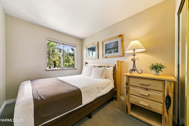 305 Galaxy Ln # 5, Stateline, NV 89449 - photo 7