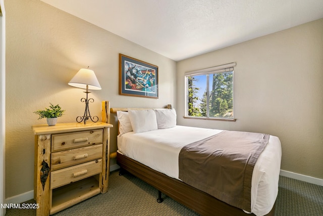 305 Galaxy Ln # 5, Stateline, NV 89449 - photo 9