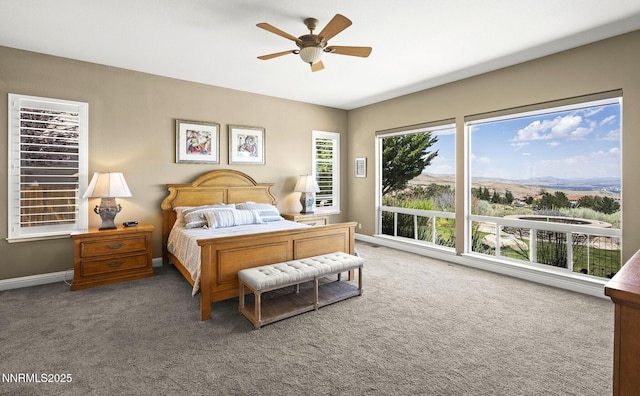 10142 Via Como, Reno, NV 89511 - photo 21