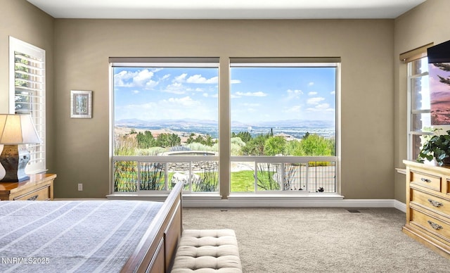 10142 Via Como, Reno, NV 89511 - photo 22