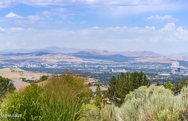 10142 Via Como, Reno, NV 89511 - photo 46