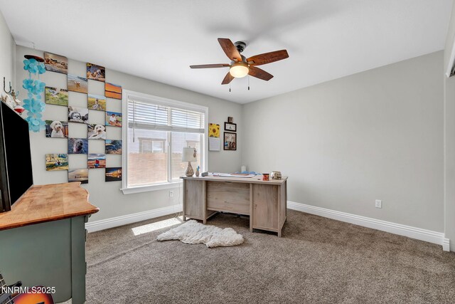 2334 Ruddy Way, Spanish Springs, NV 89441 - photo 37