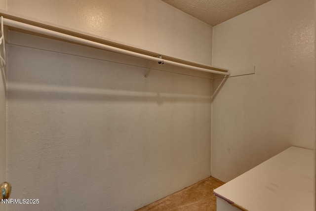 3919 Clear Acre Ln Apt 167, Reno, NV 89512 - photo 11