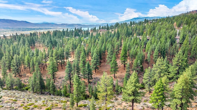 205 Timbercreek Ct, Reno, NV 89511 - photo 3