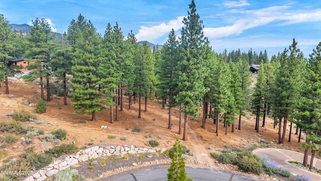 205 Timbercreek Ct, Reno, NV 89511 - photo 7