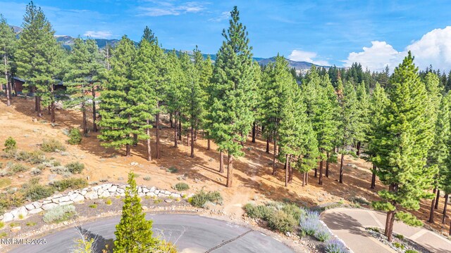 205 Timbercreek Ct, Reno, NV 89511 - photo 8