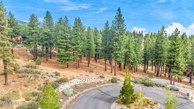 205 Timbercreek Ct, Reno, NV 89511 - photo 9