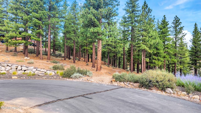 205 Timbercreek Ct, Reno, NV 89511 - photo 10