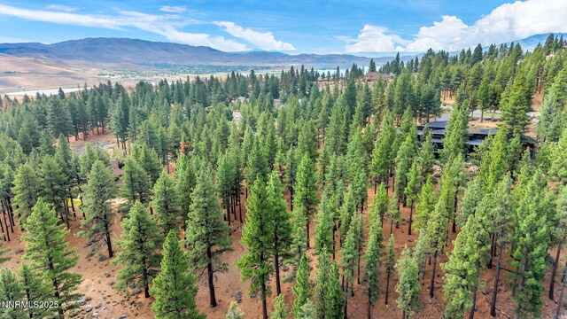 205 Timbercreek Ct, Reno, NV 89511 - photo 11