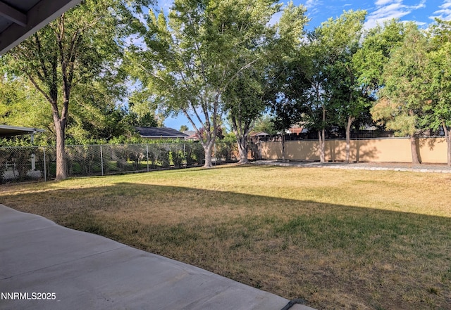 707 Addler Rd, Gardnerville, NV 89460 - photo 28