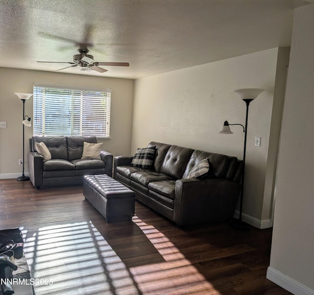 707 Addler Rd, Gardnerville, NV 89460 - photo 4