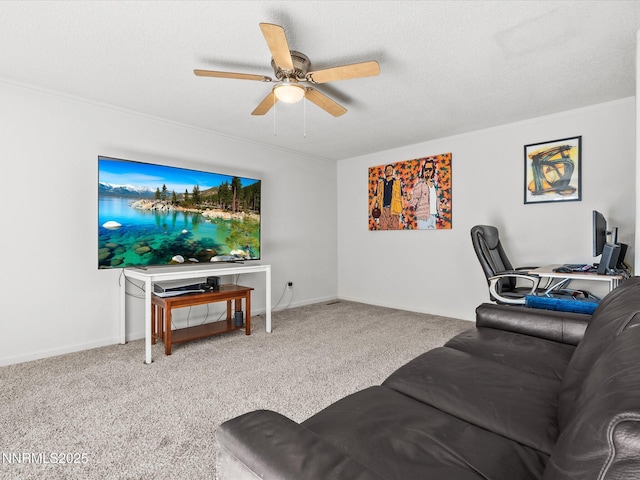 11165 White Sage Dr, Reno, NV 89506 - photo 5