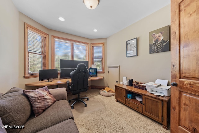 11255 Dixon Ln, Reno, NV 89511 - photo 61