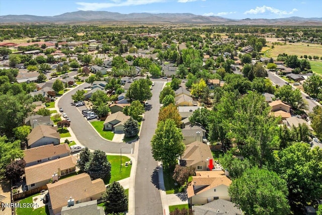 1517 Mill Creek Way, Gardnerville, NV 89410 - photo 36