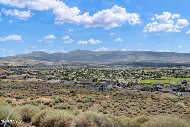 10591 Claim Jumper Way, Reno, NV 89521 - photo 21