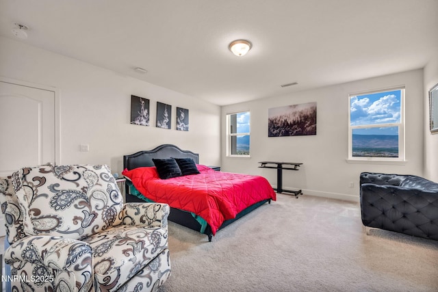 10591 Claim Jumper Way, Reno, NV 89521 - photo 54