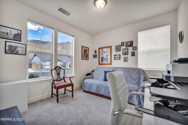 10591 Claim Jumper Way, Reno, NV 89521 - photo 72