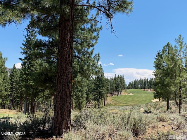 141 Walton Toll Rd Unit 264, Carson City, NV 89705 - photo 1