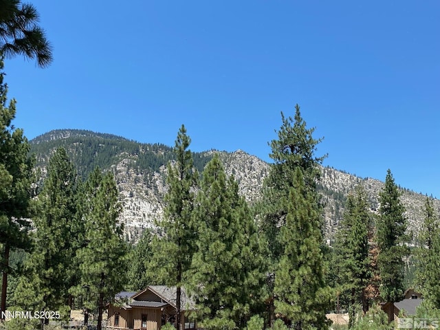 141 Walton Toll Rd Unit 264, Carson City, NV 89705 - photo 5