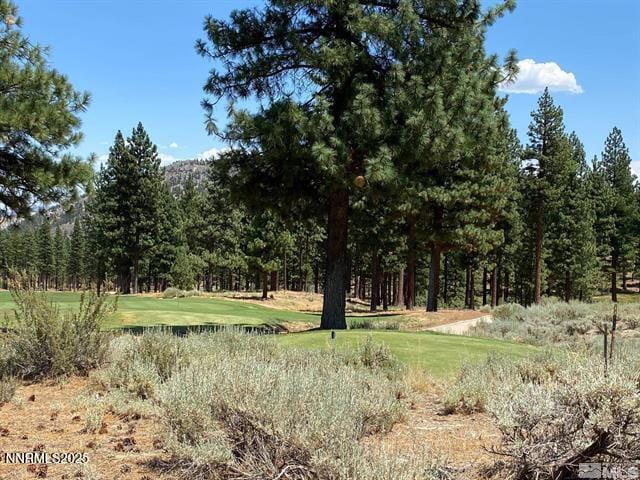 141 Walton Toll Rd Unit 264, Carson City, NV 89705 - photo 6
