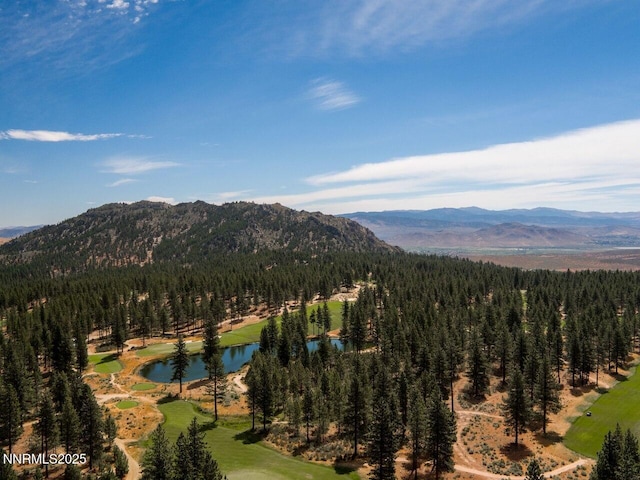 141 Walton Toll Rd Unit 264, Carson City, NV 89705 - photo 7