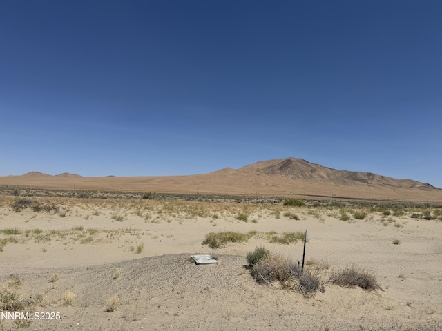 6665 Country Rd Unit 18, Winnemucca, NV 89445 - photo 5