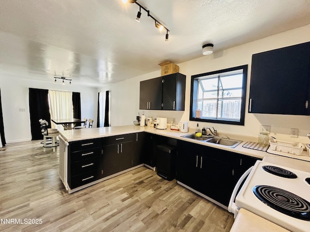 409 Chris Ct, Winnemucca, NV 89445 - photo 5