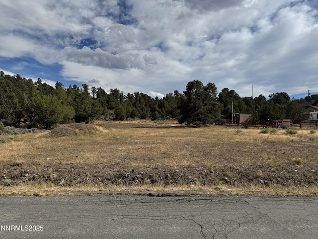 2523 Cartwright Rd Unit H-16, Reno, NV 89521 - photo 4