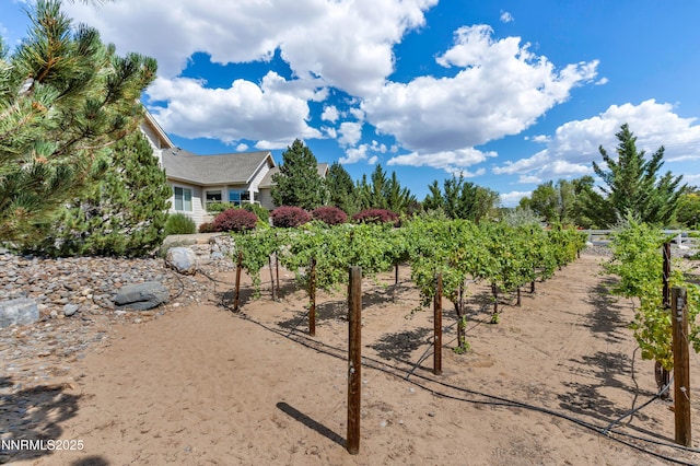 2600 Skyline Dr, Minden, NV 89423 - photo 13