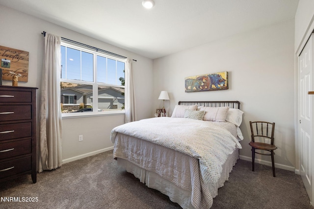 8310 Endsley Dr, Reno, NV 89439 - photo 21