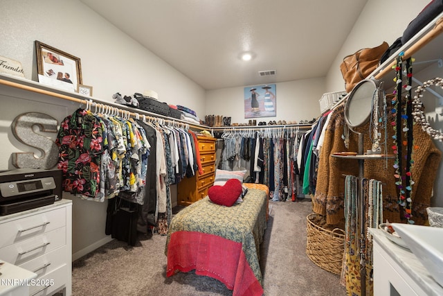 8310 Endsley Dr, Reno, NV 89439 - photo 31
