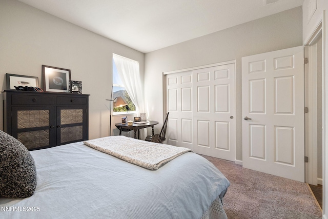 8310 Endsley Dr, Reno, NV 89439 - photo 36
