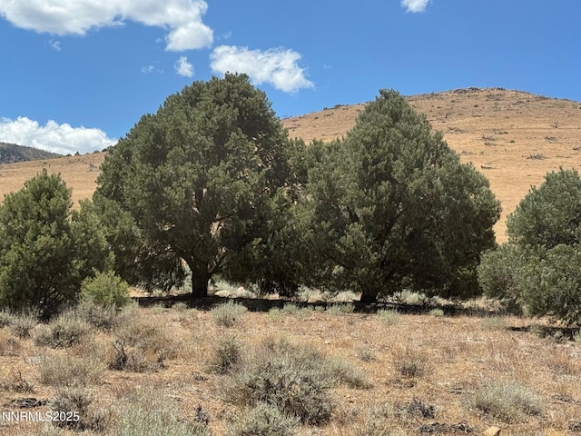 1400 Breccia Rd, Gardnerville, NV 89444 - photo 1