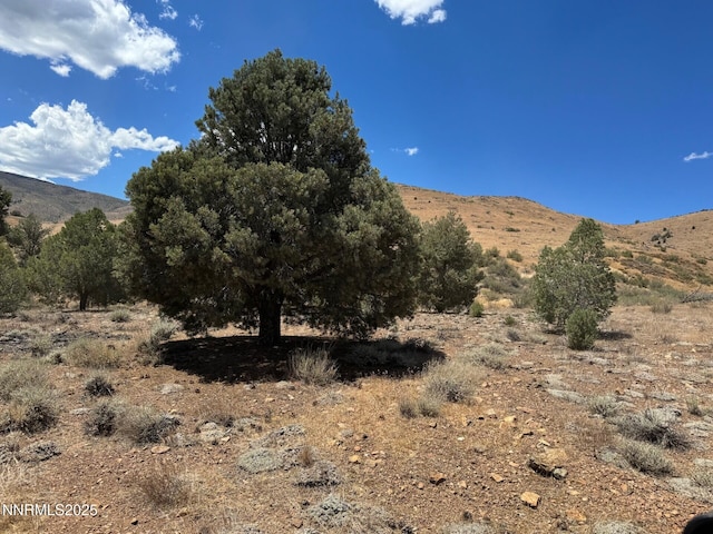 1400 Breccia Rd, Gardnerville, NV 89444 - photo 2