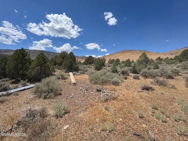 1400 Breccia Rd, Gardnerville, NV 89444 - photo 6