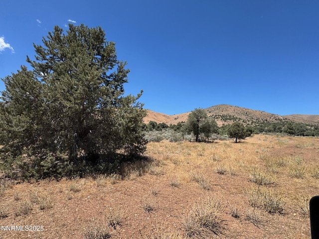 1400 Breccia Rd, Gardnerville, NV 89444 - photo 7