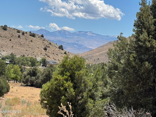 1400 Breccia Rd, Gardnerville, NV 89444 - photo 9