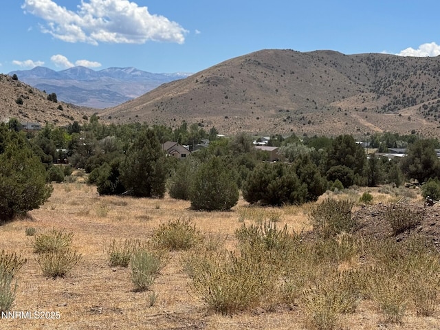 1400 Breccia Rd, Gardnerville, NV 89444 - photo 10