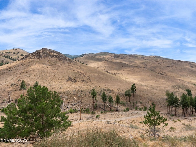 4975 Foxcreek Trl, Reno, NV 89519 - photo 64