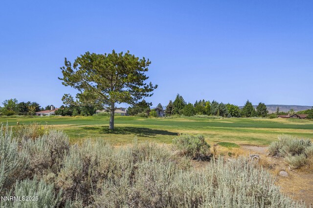362 Wolf Run Ct, Reno, NV 89511 - photo 40